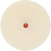Scotch-Brite Moulding Adhesive & Stripe Removal Disc, 7501, 4" Dia. Toolneeds Inc.