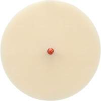 Scotch-Brite Moulding Adhesive and Stripe Removal Disc 7502, 6" Dia. Toolneeds Inc.