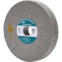 Meule d'&eacute;barbage EXL Scotch-Brite, 6" x 1", Arbre de 1" Toolneeds Inc.