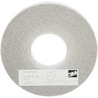 Meules d'&eacute;barbage EXL Scotch-Brite, 8" x 1", Arbre de 3", Oxyde d'aluminium Toolneeds Inc.