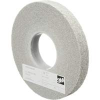Meules d'&eacute;barbage EXL Scotch-Brite, 8" x 1", Arbre de 3", Oxyde d'aluminium Toolneeds Inc.
