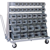 Mobile Bin Racks