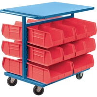 Bin Cart with Bins, Double-sided, 20 bins, 24" W x 38-1/2" D x 36-1/2" H Toolneeds Inc.