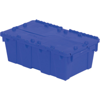 Contenants de distribution Flipak en plastique poly&eacute;thyl&egrave;ne (PE), 19,7" x 11,8" x 7,3", Bleu Toolneeds Inc.