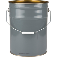 Lined Pail, Steel, 20 L Toolneeds Inc.