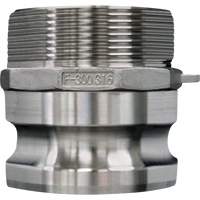 Accouplement &agrave; came et rainure, Acier inoxydable, Type F, 3/4", NPT m&acirc;le, 250 PSI Toolneeds Inc.