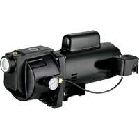 Dual Voltage Cast Iron Shallow Well Jet Pump, 115 V/230 V, 1260 GPH, 1 HP Toolneeds Inc.