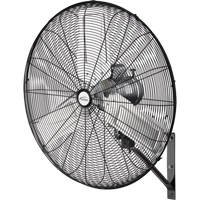 Oscillating Wall Fan, Industrial, 2 Speed, 30" Diameter Toolneeds Inc.