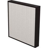 AeraMax&reg; Pro AM3 & AM4 2" True HEPA Filter, Box, 13.75" W x 2.25" D x 14.38" H Toolneeds Inc.