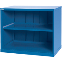 Shelf Cabinets, Steel, 33-1/2" H x 40-1/4" W x 22-1/2" D, Bright blue Toolneeds Inc.