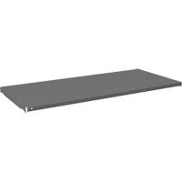 Tablette pour armoire, 47-3/4" x 21-3/8", Capacit&eacute; de 750 lb, Gris Toolneeds Inc.