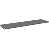 Tablette pour armoire, 59-3/4" x 16-3/8", Capacit&eacute; de 500 lb, Gris Toolneeds Inc.