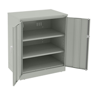 Deluxe Counter High Cabinet, Steel, 2 Shelves, 42" H x 36" W x 24" D, Light Grey Toolneeds Inc.