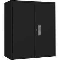 Armoire de rangement Lo-Boy, Acier, 2 Tablettes, 42" h x 36" la x 18" P, Noir Toolneeds Inc.