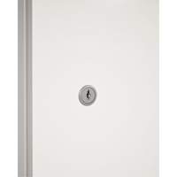 Serrure et cl&eacute;s pour armoire Toolneeds Inc.