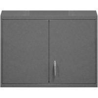 Armoire murale, 27" h x 29-7/8" la x 13-11/16" p, 2 tablettes, Acier, Gris Toolneeds Inc.