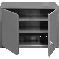 Armoire murale, 27" h x 29-7/8" la x 13-11/16" p, 2 tablettes, Acier, Gris Toolneeds Inc.