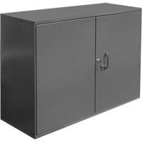 Abrasive Accessory Cabinet, Steel, 2 Drawers, 33-3/4" x 11-7/8" x 23-7/8", Grey Toolneeds Inc.