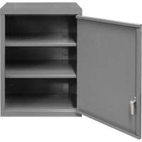 Armoire murale, 27" h x 13-11/16" la x 18" p, 2 tablettes, Acier, Gris Toolneeds Inc.