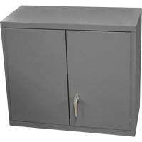 Armoire murale, 27" h x 13-11/16" la x 35-7/8" p, 2 tablettes, Acier, Gris Toolneeds Inc.