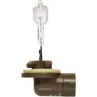 886 Phare antibrouillard de base, Halog&egrave;ne, 50 W, Blanc cass&eacute; Toolneeds Inc.