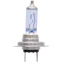 H7 SilverStar&reg; zXe Headlight Bulb, Halogen/HID, 56 W, White Toolneeds Inc.