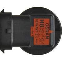 H8 Basic Headlight Bulb, Halogen, 35 W, Off White Toolneeds Inc.