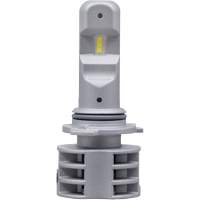 9006 Headlight Bulb, LED, 13.2 W/17 W, White Toolneeds Inc.