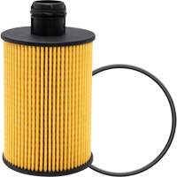 P40147 Lube Oil Filter Element Toolneeds Inc.