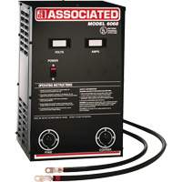 Powerful Performance Parallel Battery Charger Toolneeds Inc.