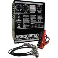 Multi-Battery Series Charger Toolneeds Inc.