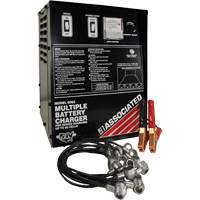 Multi-Battery Series Charger Toolneeds Inc.