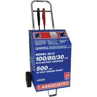 International Fleet & Commercial 220V Fast Battery Charger Toolneeds Inc.