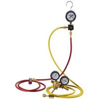 Automotive A/C Nitrogen Leak Test Kit with Regulator Toolneeds Inc.