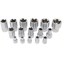 5-Point EPR Torx Socket Set, 16 Pieces, 1/4"/3/8"/1/2" Drive Size Toolneeds Inc.