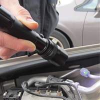 Rechargeable UV Flashlight Toolneeds Inc.