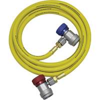 R134a A/C System Flush Hose Assembly Toolneeds Inc.