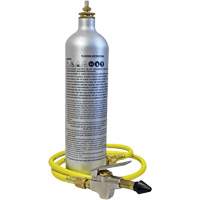 A/C System Flush Kit Toolneeds Inc.