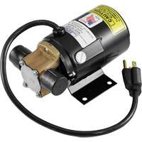 Low Profile Truck Drain with Electric Pump Toolneeds Inc.