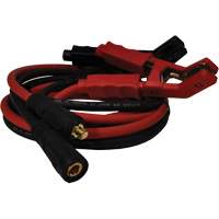 100 A High-Power Smart Charger with Inverter Technology Toolneeds Inc.