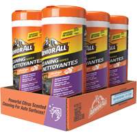 Lingettes nettoyantes et d&eacute;sodorisantes Toolneeds Inc.