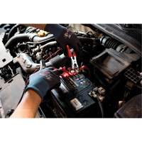 Short Frame Brake-Pro Pressure Brake Bleeder with Adapters Toolneeds Inc.
