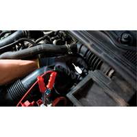 Short Frame Brake-Pro Pressure Brake Bleeder with Adapters Toolneeds Inc.