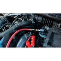 Tall Frame Brake-Pro Pressure Brake Bleeder with Adapters Toolneeds Inc.