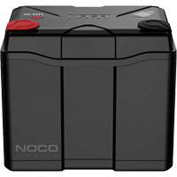 Batterie au lithium &agrave; double usage de groupe U1, 40 Ah Toolneeds Inc.