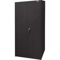 Armoire d'entreposage, Acier, 4 Tablettes, 66" h x 30" la x 15" P, Noir Toolneeds Inc.