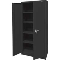 Armoire d'entreposage, Acier, 4 Tablettes, 66" h x 30" la x 15" P, Noir Toolneeds Inc.