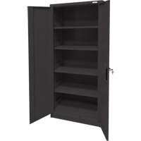Armoire d'entreposage, Acier, 4 Tablettes, 66" h x 30" la x 15" P, Noir Toolneeds Inc.