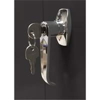 Armoire d'entreposage, Acier, 4 Tablettes, 78" h x 36" la x 24" P, Noir Toolneeds Inc.