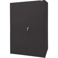 Armoire d'entreposage, Acier, 4 Tablettes, 78" h x 48" la x 24" P, Noir Toolneeds Inc.